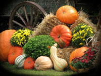 harvestdisplay