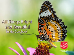 All-Things-Bright-And-Beautiful