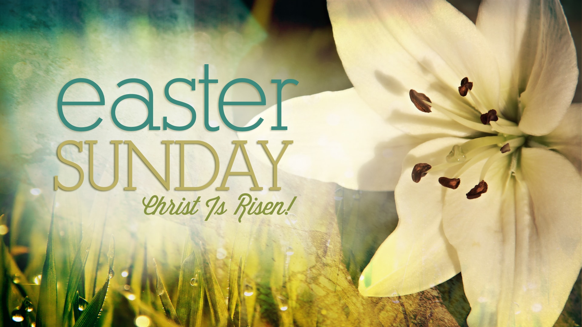 Sharing the Good News of Easter! insights life, song lyrics & video